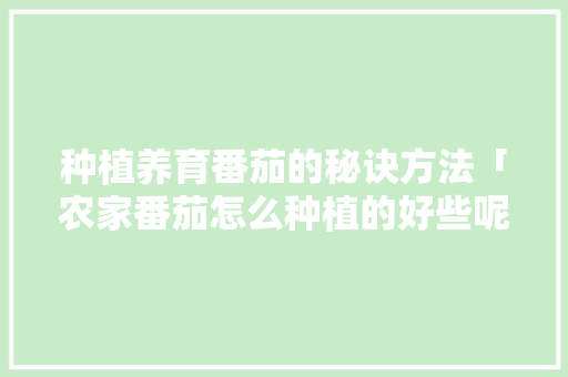 种植养育番茄的秘诀方法「农家番茄怎么种植的好些呢」 种植养育番茄的秘诀方法「农家番茄怎么种植的好些呢」 土壤施肥
