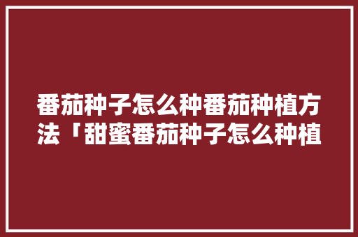 番茄种子怎么种番茄种植方法「甜蜜番茄种子怎么种植视频」 番茄种子怎么种番茄种植方法「甜蜜番茄种子怎么种植视频」 种植技巧