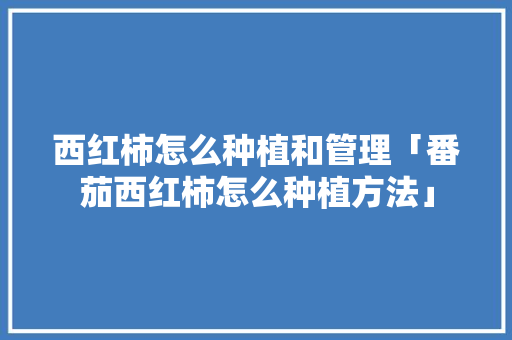 西红柿怎么种植和管理「番茄西红柿怎么种植方法」 西红柿怎么种植和管理「番茄西红柿怎么种植方法」 农业常识