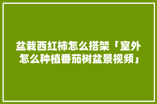 盆栽西红柿怎么搭架「室外怎么种植番茄树盆景视频」 盆栽西红柿怎么搭架「室外怎么种植番茄树盆景视频」 土壤施肥