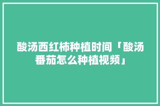 酸汤西红柿种植时间「酸汤番茄怎么种植视频」 酸汤西红柿种植时间「酸汤番茄怎么种植视频」 花朵知识