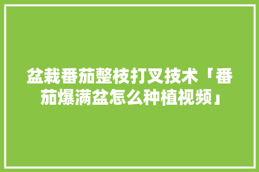 盆栽番茄整枝打叉技术「番茄爆满盆怎么种植视频」 盆栽番茄整枝打叉技术「番茄爆满盆怎么种植视频」 番茄病虫害防治