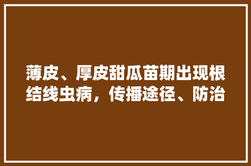 薄皮、厚皮甜瓜苗期出现根结线虫病，传播途径、防治措施有哪些「串珠樱桃番茄怎么种植视频」 薄皮、厚皮甜瓜苗期出现根结线虫病，传播途径、防治措施有哪些「串珠樱桃番茄怎么种植视频」 土壤施肥