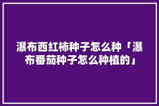瀑布西红柿种子怎么种「瀑布番茄种子怎么种植的」 瀑布西红柿种子怎么种「瀑布番茄种子怎么种植的」 番茄病虫害防治