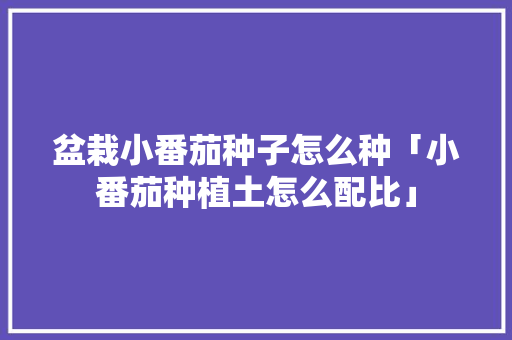 盆栽小番茄种子怎么种「小番茄种植土怎么配比」 盆栽小番茄种子怎么种「小番茄种植土怎么配比」 土壤施肥