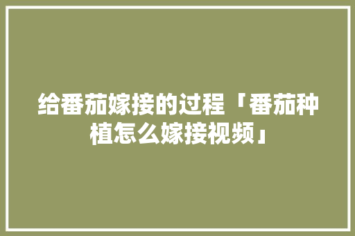 给番茄嫁接的过程「番茄种植怎么嫁接视频」 给番茄嫁接的过程「番茄种植怎么嫁接视频」 番茄病虫害防治