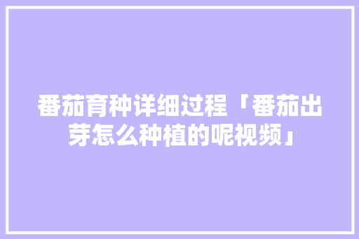 番茄育种详细过程「番茄出芽怎么种植的呢视频」 番茄育种详细过程「番茄出芽怎么种植的呢视频」 番茄种植技巧