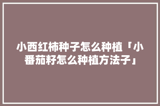 小西红柿种子怎么种植「小番茄籽怎么种植方法子」 小西红柿种子怎么种植「小番茄籽怎么种植方法子」 番茄病虫害防治