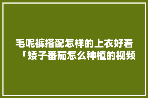 毛呢裤搭配怎样的上衣好看「矮子番茄怎么种植的视频」