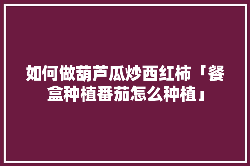 如何做葫芦瓜炒西红柿「餐盒种植番茄怎么种植」 如何做葫芦瓜炒西红柿「餐盒种植番茄怎么种植」 土壤施肥
