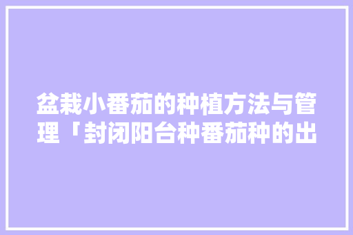 盆栽小番茄的种植方法与管理「封闭阳台种番茄种的出来吗」 盆栽小番茄的种植方法与管理「封闭阳台种番茄种的出来吗」 花朵知识