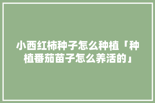小西红柿种子怎么种植「种植番茄苗子怎么养活的」 小西红柿种子怎么种植「种植番茄苗子怎么养活的」 种植技巧