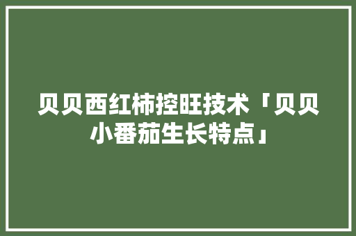 贝贝西红柿控旺技术「贝贝小番茄生长特点」