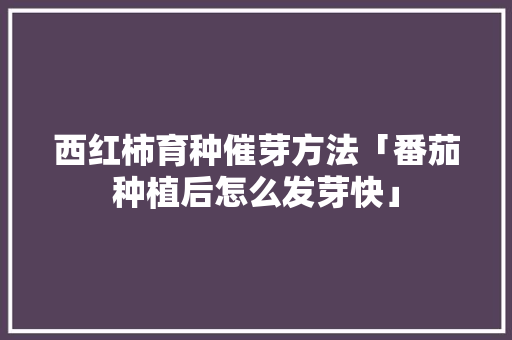 西红柿育种催芽方法「番茄种植后怎么发芽快」 西红柿育种催芽方法「番茄种植后怎么发芽快」 农业常识