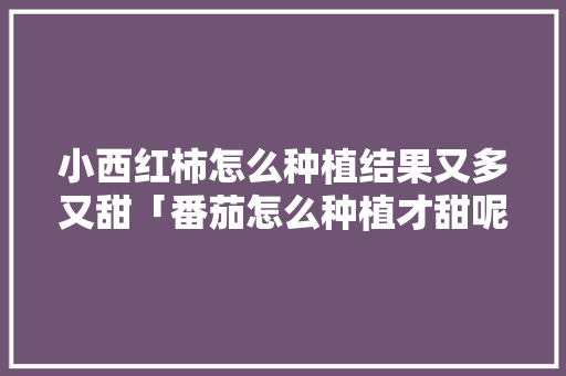 小西红柿怎么种植结果又多又甜「番茄怎么种植才甜呢」 小西红柿怎么种植结果又多又甜「番茄怎么种植才甜呢」 番茄病虫害防治