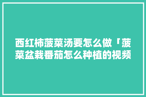 西红柿菠菜汤要怎么做「菠菜盆栽番茄怎么种植的视频」 西红柿菠菜汤要怎么做「菠菜盆栽番茄怎么种植的视频」 种植技巧