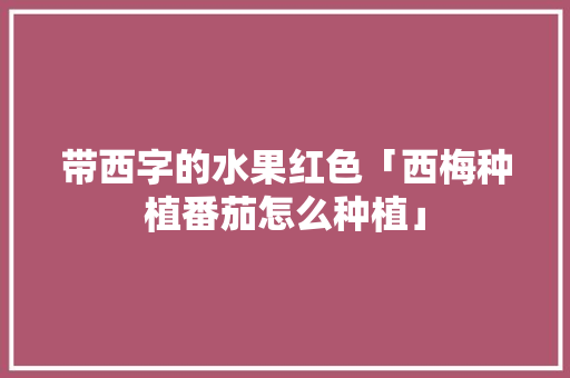 带西字的水果红色「西梅种植番茄怎么种植」