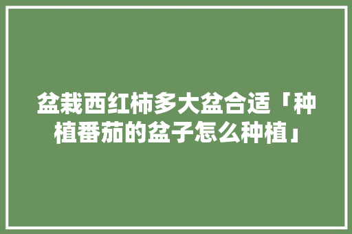 盆栽西红柿多大盆合适「种植番茄的盆子怎么种植」 盆栽西红柿多大盆合适「种植番茄的盆子怎么种植」 番茄种植技巧