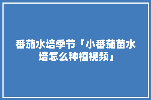 番茄水培季节「小番茄苗水培怎么种植视频」 番茄水培季节「小番茄苗水培怎么种植视频」 植物种类
