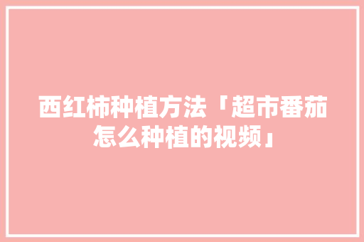 西红柿种植方法「超市番茄怎么种植的视频」 西红柿种植方法「超市番茄怎么种植的视频」 种植技巧