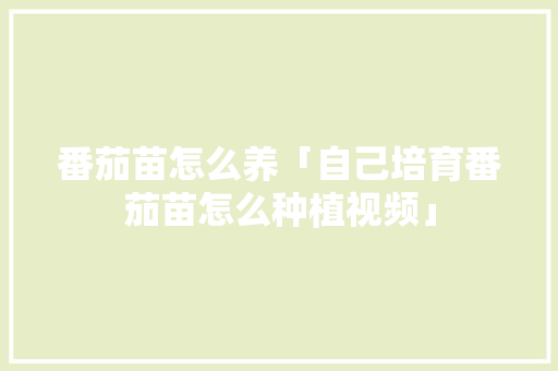 番茄苗怎么养「自己培育番茄苗怎么种植视频」 番茄苗怎么养「自己培育番茄苗怎么种植视频」 土壤施肥