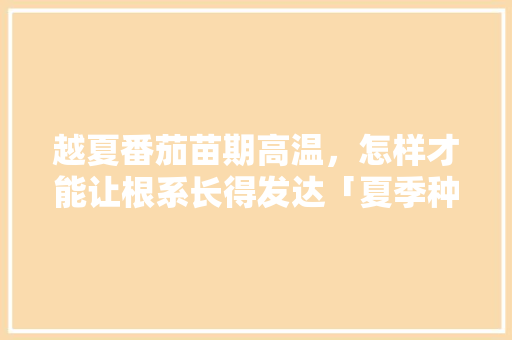 越夏番茄苗期高温，怎样才能让根系长得发达「夏季种番茄」