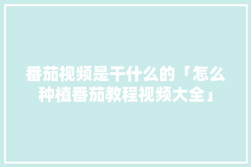 番茄视频是干什么的「怎么种植番茄教程视频大全」 番茄视频是干什么的「怎么种植番茄教程视频大全」 花朵知识