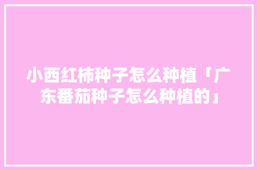 小西红柿种子怎么种植「广东番茄种子怎么种植的」 小西红柿种子怎么种植「广东番茄种子怎么种植的」 农业常识
