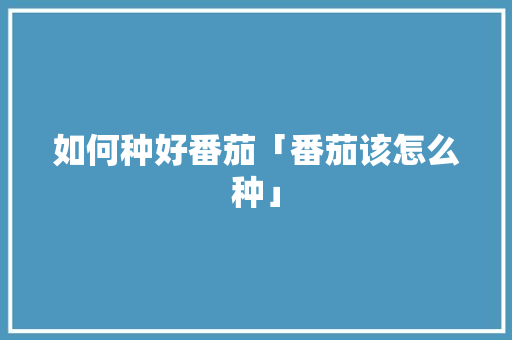 如何种好番茄「番茄该怎么种」 种植技巧 如何种好番茄「番茄该怎么种」 如何种好番茄「番茄该怎么种」 种植技巧