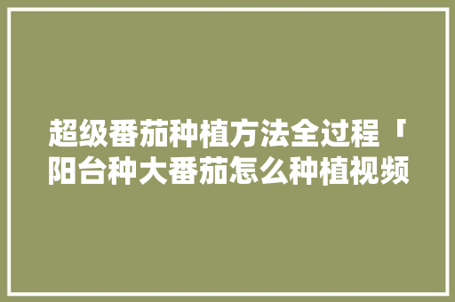 超级番茄种植方法全过程「阳台种大番茄怎么种植视频」 超级番茄种植方法全过程「阳台种大番茄怎么种植视频」 植物种类