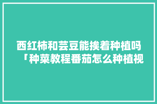 西红柿和芸豆能挨着种植吗「种菜教程番茄怎么种植视频」 西红柿和芸豆能挨着种植吗「种菜教程番茄怎么种植视频」 种植技巧
