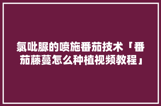 氯吡脲的喷施番茄技术「番茄藤蔓怎么种植视频教程」 氯吡脲的喷施番茄技术「番茄藤蔓怎么种植视频教程」 植物种类