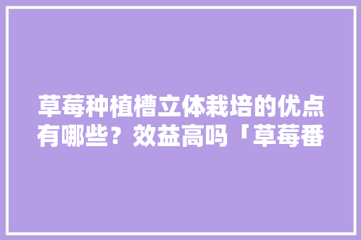 草莓种植槽立体栽培的优点有哪些？效益高吗「草莓番茄怎么选种植方法」 草莓种植槽立体栽培的优点有哪些？效益高吗「草莓番茄怎么选种植方法」 土壤施肥