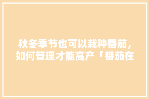 秋冬季节也可以栽种番茄，如何管理才能高产「番茄在冬天怎么种植视频」 秋冬季节也可以栽种番茄，如何管理才能高产「番茄在冬天怎么种植视频」 番茄病虫害防治
