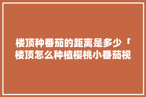 楼顶种番茄的距离是多少「楼顶怎么种植樱桃小番茄视频」 楼顶种番茄的距离是多少「楼顶怎么种植樱桃小番茄视频」 土壤施肥