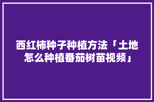 西红柿种子种植方法「土地怎么种植番茄树苗视频」 西红柿种子种植方法「土地怎么种植番茄树苗视频」 番茄病虫害防治