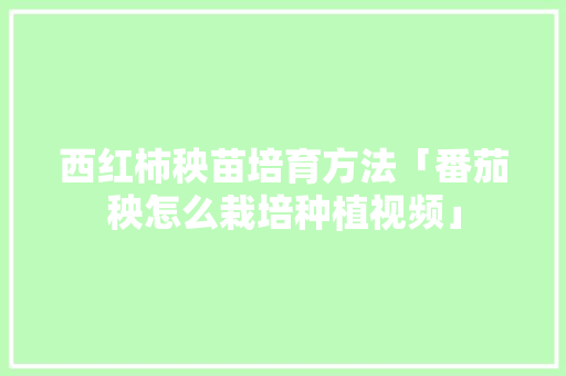 西红柿秧苗培育方法「番茄秧怎么栽培种植视频」 西红柿秧苗培育方法「番茄秧怎么栽培种植视频」 番茄病虫害防治