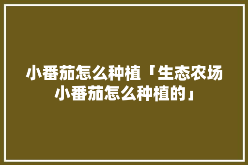 小番茄怎么种植「生态农场小番茄怎么种植的」 小番茄怎么种植「生态农场小番茄怎么种植的」 番茄病虫害防治