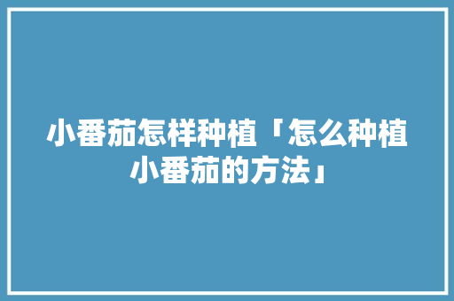 小番茄怎样种植「怎么种植小番茄的方法」 小番茄怎样种植「怎么种植小番茄的方法」 植物种类