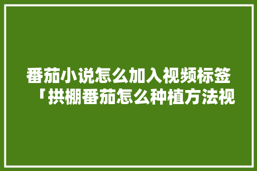 番茄小说怎么加入视频标签「拱棚番茄怎么种植方法视频教程」