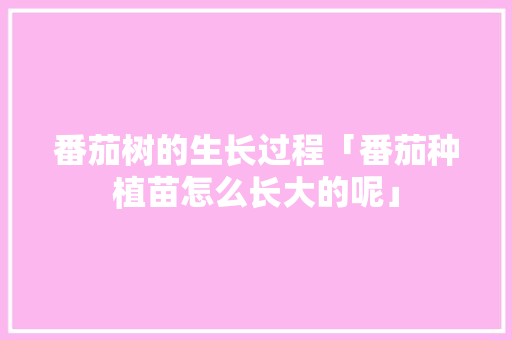 番茄树的生长过程「番茄种植苗怎么长大的呢」 番茄树的生长过程「番茄种植苗怎么长大的呢」 种植技巧