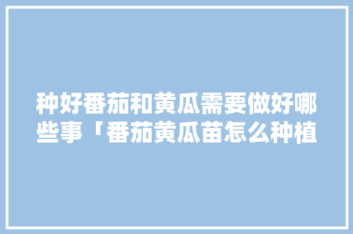 种好番茄和黄瓜需要做好哪些事「番茄黄瓜苗怎么种植的视频」 种好番茄和黄瓜需要做好哪些事「番茄黄瓜苗怎么种植的视频」 土壤施肥
