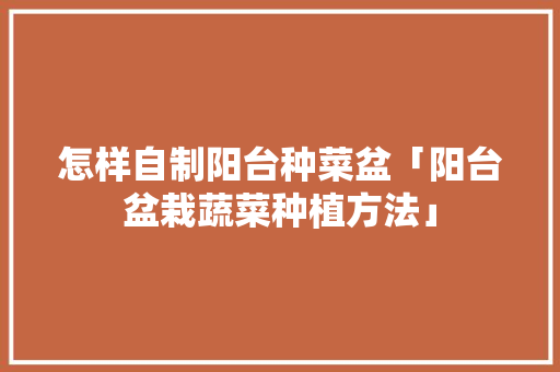 怎样自制阳台种菜盆「阳台盆栽蔬菜种植方法」