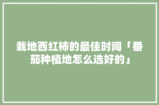 栽地西红柿的最佳时间「番茄种植地怎么选好的」 栽地西红柿的最佳时间「番茄种植地怎么选好的」 土壤施肥