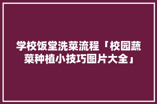 学校饭堂洗菜流程「校园蔬菜种植小技巧图片大全」