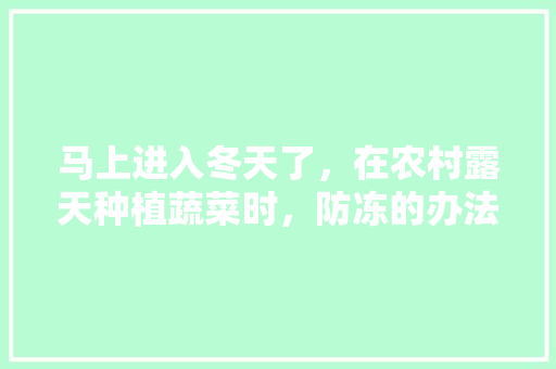 马上进入冬天了，在农村露天种植蔬菜时，防冻的办法有哪些「冬天蔬菜种植技巧和方法」 马上进入冬天了，在农村露天种植蔬菜时，防冻的办法有哪些「冬天蔬菜种植技巧和方法」 番茄病虫害防治