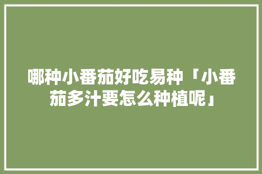 哪种小番茄好吃易种「小番茄多汁要怎么种植呢」 土壤施肥 哪种小番茄好吃易种「小番茄多汁要怎么种植呢」 哪种小番茄好吃易种「小番茄多汁要怎么种植呢」 土壤施肥