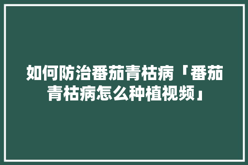 如何防治番茄青枯病「番茄青枯病怎么种植视频」
