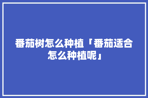 番茄树怎么种植「番茄适合怎么种植呢」 番茄树怎么种植「番茄适合怎么种植呢」 种植技巧