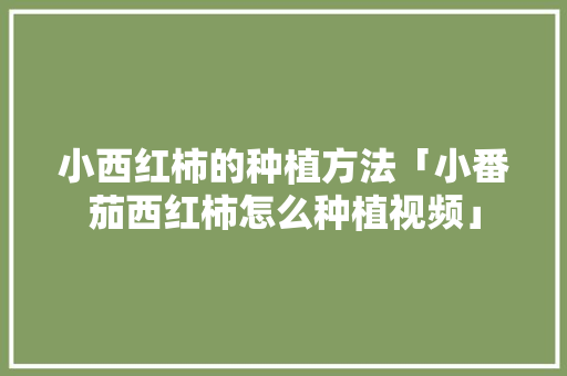 小西红柿的种植方法「小番茄西红柿怎么种植视频」 小西红柿的种植方法「小番茄西红柿怎么种植视频」 番茄种植技巧